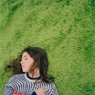 Afbeelding van Clairo Diary 001 (LP)