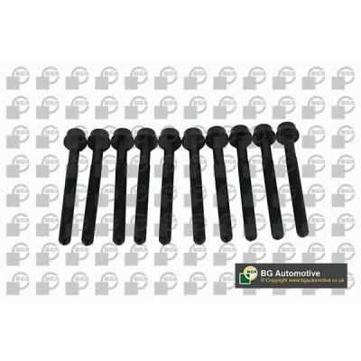 Afbeelding van BGA BK0102 Cilinderkopbouten AUDI: A5 B8 Sportback