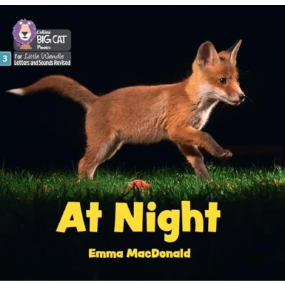 Afbeelding van Big Cat Phonics for Little Wandle Letters and Sounds Revised At Night