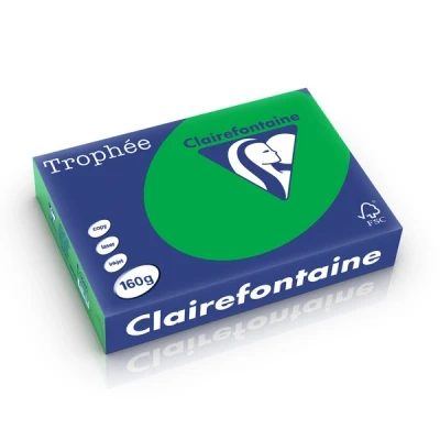 Image de 250 feuilles A4 160g Couleur vives Vert Billard Trophée Clairefontaire 1007C