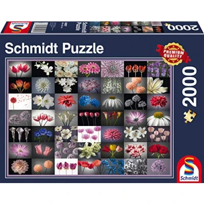 Afbeelding van Schmidt Babyspeelgoed voor kinderen, Maat: One Size, Multi coloured