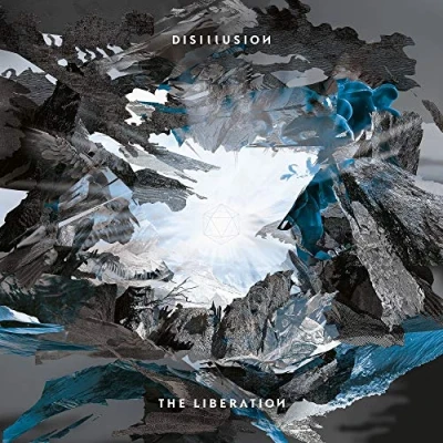 Afbeelding van Disillusion Liberation (2 LPs)