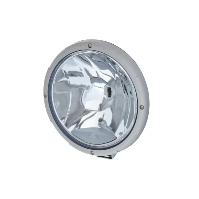 Afbeelding van Hella Rallye 3003 Halogeen Verstraler Zilver Blauw + Stadslicht 1F8 009 797 031