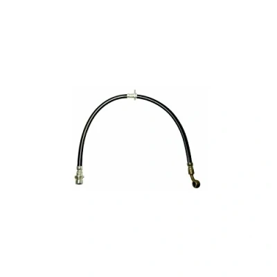 Afbeelding van DELPHI LH6377 Remslang 596 M10x1 Int SF