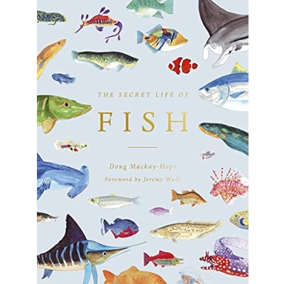 Afbeelding van The Secret Life of Fish