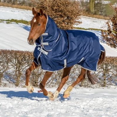 Image de Bucas Freedom Turnout Full Neck 0g Marine 115/152