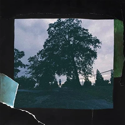 Afbeelding van 4 Your Eyez Only (LP)
