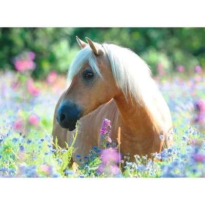 Afbeelding van Ravensburger puzzel Paard tussen de bloemen Legpuzzel 300 stukjes