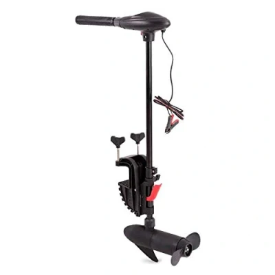 Image de Moteur hors bord électrique Intex 40 Lbs de poussée