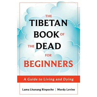 Afbeelding van the Tibetan Book of Dead for Beginners