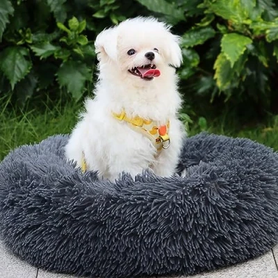 Afbeelding van MDDK DY Hondenhok binnen, zacht, wasbaar en comfortabel kattenbed voor katten honden in Ciambell, hondenkussen middelgroot groot (60 x 20 cm grijs
