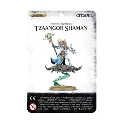 Afbeelding van Disciples Of Tzeentch: Tzaangor Shaman