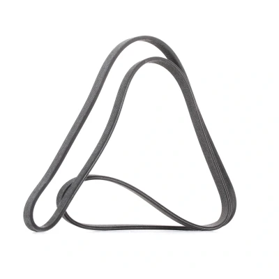 Afbeelding van Poly V riem DAYCO 6DPK1853