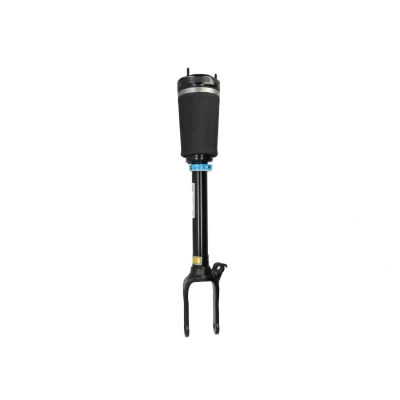 Afbeelding van BILSTEIN B4 OE Replacement (Air) 44 165062 Pneumatischeveerpoot Vooras MERCEDES BENZ: ML Class