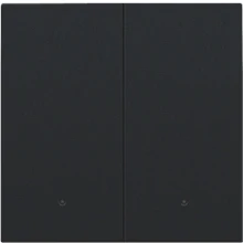 Afbeelding van Niko Pure Black Steel, Afwerkingsset met lens voor dubbele elektronische schakelaar of drukknop