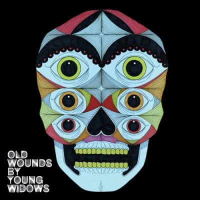 Afbeelding van Young Widows Old Wounds