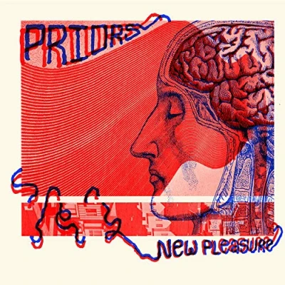 Afbeelding van Priors New Pleasure (LP)