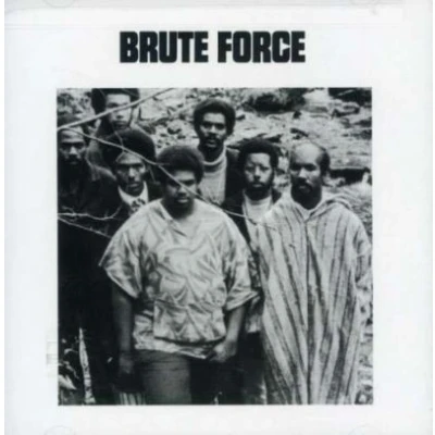 Afbeelding van Brute Force