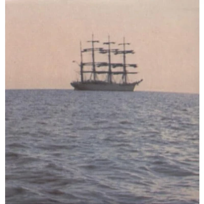 Afbeelding van Smog Doctor Came At Dawn (LP)