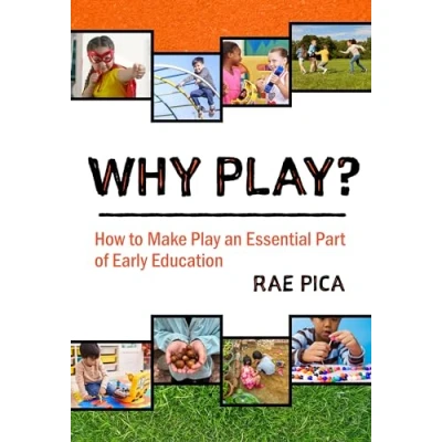 Afbeelding van Why Play?