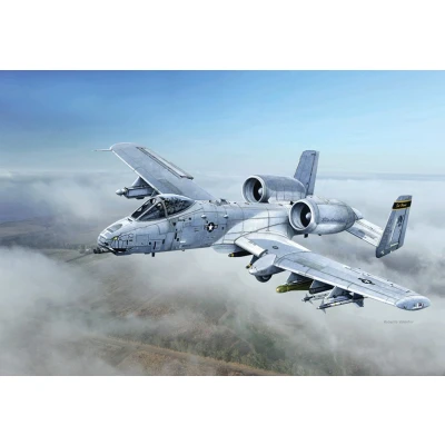 Afbeelding van 1:48 Italeri 2725 A 10C &#039;&#039;Blacksnackes&#039;&#039; Plastic Modelbouwpakket