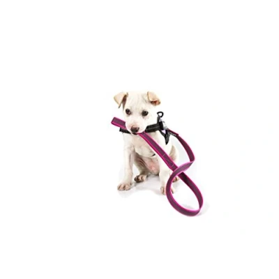 Afbeelding van JULIUS K9 ANTI SLIP HONDENRIEM ROZE MET HANDVAT 1M (20MM)