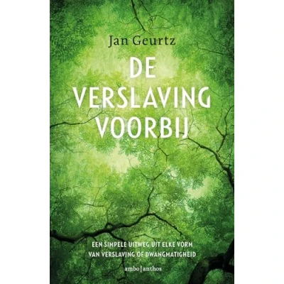 Afbeelding van De verslaving voorbij