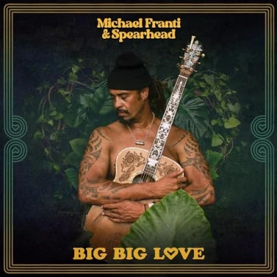Afbeelding van Michael &amp; Spearhead Franti Big Love (2 LPs)