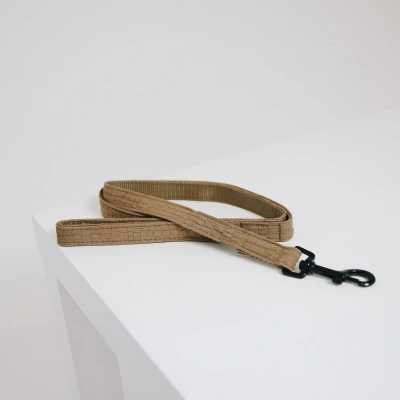 Image de Kentucky Dog Lead Lizard 120 cm