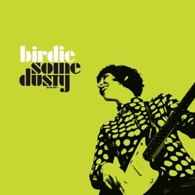 Afbeelding van Birdie Some Dusty (LP)