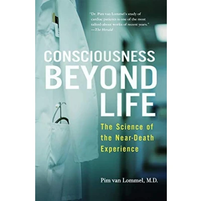 Afbeelding van Consciousness Beyond Life