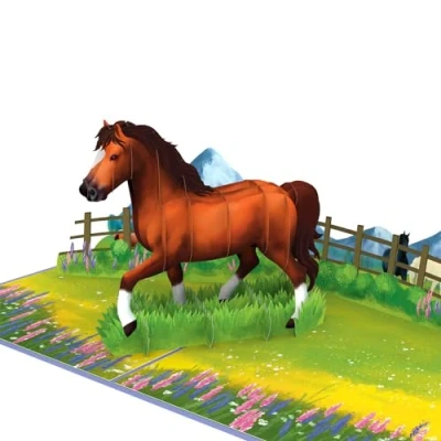 Afbeelding van papercrush® Pop up paardenkaart, 3D verjaardagskaart voor paarden, meisjes en ruiters, grappige wenskaart paardenliefhebbers, geldcadeau of waardebon paardrijden lessen