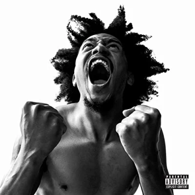 Afbeelding van Bobby Sessions Manifest (LP)