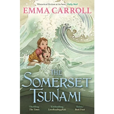 Afbeelding van The Somerset Tsunami