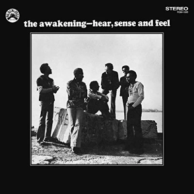 Afbeelding van Awakening Hear, Sense and Feel (LP)