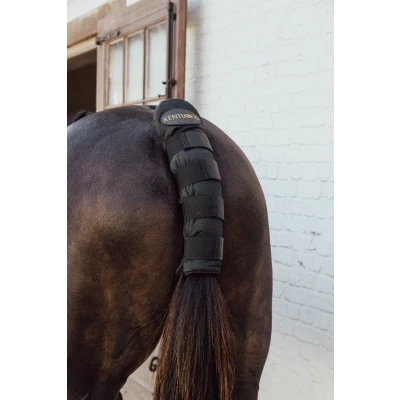 Image de Kentucky Horsewear Protege Queue ProVendu par Agradi
