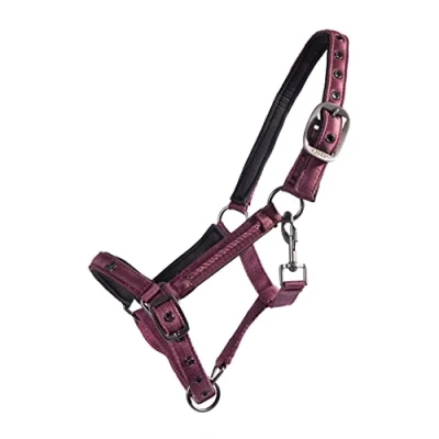 Image de QHP Foal Halter Lily