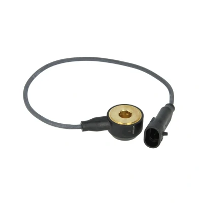 Afbeelding van Klopsensor DELPHI AS10134 12B1