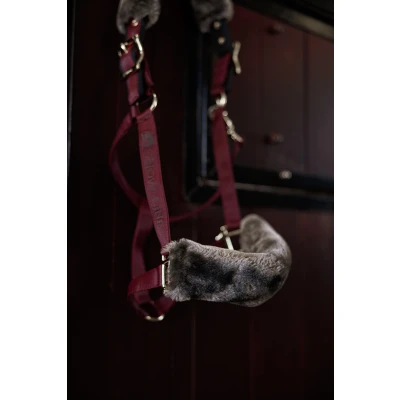 Image de Bucas Show Line Half Fur Halter