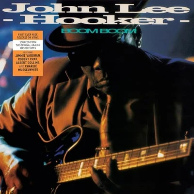 Afbeelding van John Lee Hooker Boom (LP)