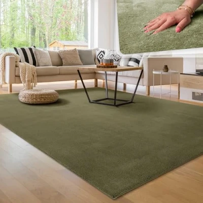 Afbeelding van Paco Home Modern zacht tapijt voor woonkamer, laagpolig, wasbaar, pluizig, effen, bont, tijdloos, elegant, antislip, onderhoudsvriendelijk, afmetingen: 160 x 220 cm, kleur: lichtgroen