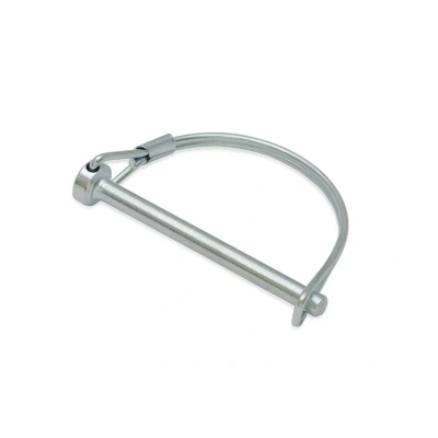 Afbeelding van Dulimex borgpen rond 6mm vz.