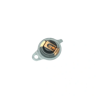Image de Whirlpool Cache palier tambour 480112101502