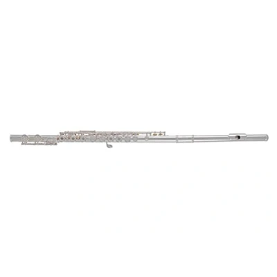 Image de Roy Benson Pro Series Flûte traversière FL 602RI