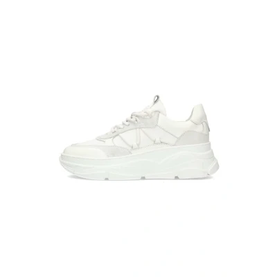 Afbeelding van PS Poelman Sneakers laag, Dames, Maat: 39, White Schoenen