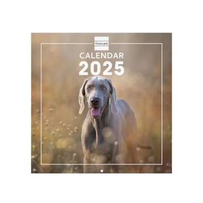Afbeelding van Finocam internationale wandfotokalender 2025, 1 maand per pagina, januari 2025 december (12 maanden) honden