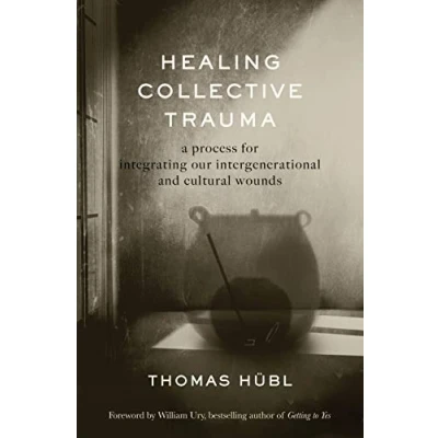 Afbeelding van Healing Collective Trauma