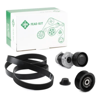 Afbeelding van Poly V riem set INA 529 0187 10