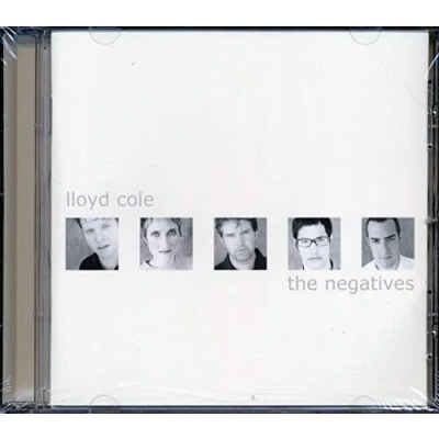 Afbeelding van Lloyd Cole &amp; The Negatives