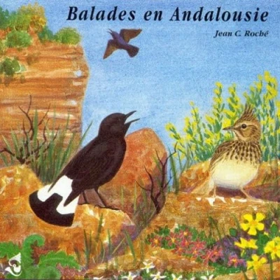 Afbeelding van Various Artists Balades En Andalousie (CD)